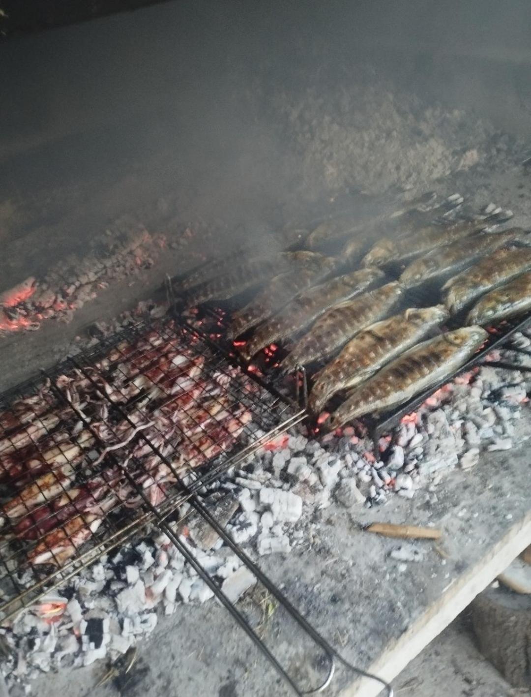 Apartmani Ivica Martic Duće Buitenkant foto